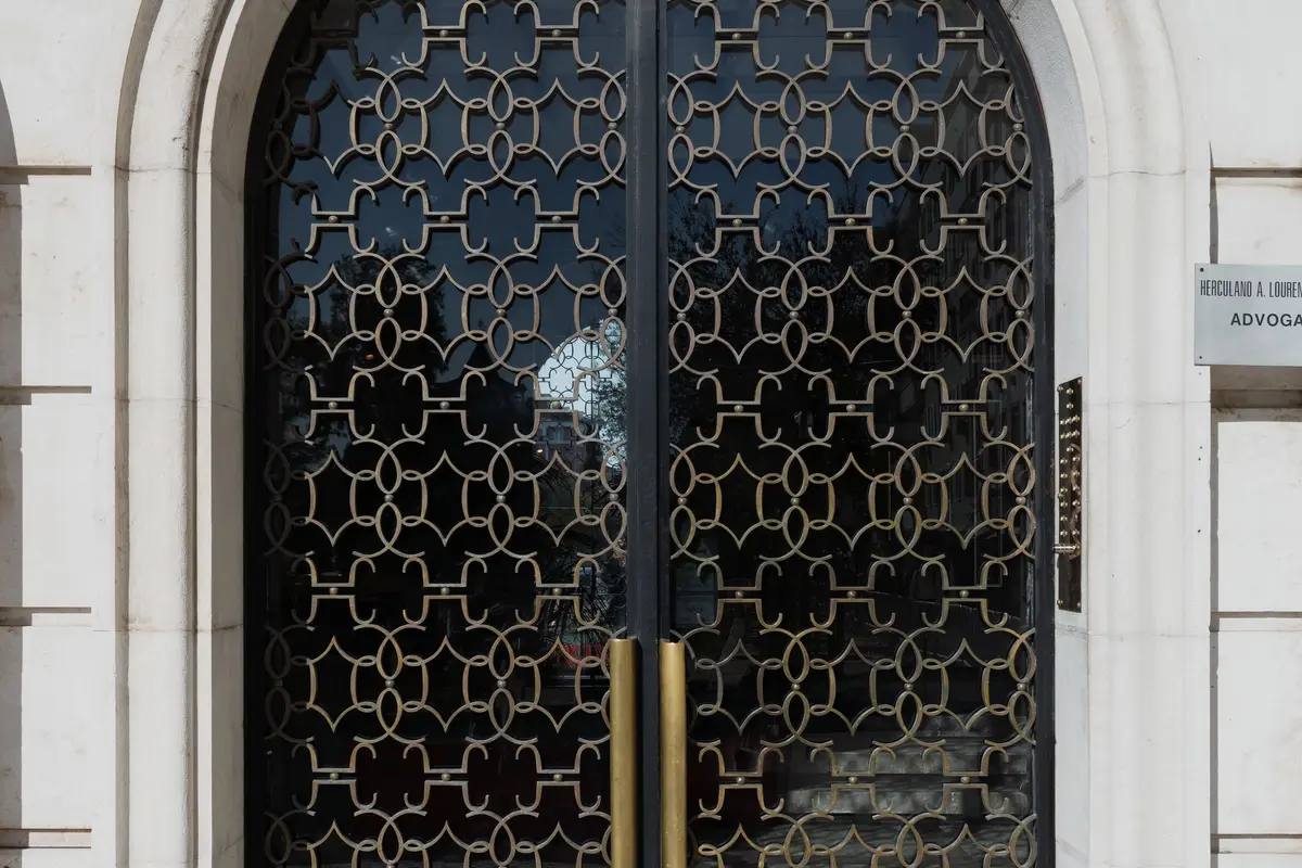 Custom Metal Security Entrance Door